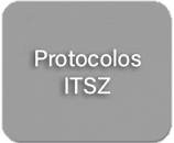ss9 - Protocolos ITSZ